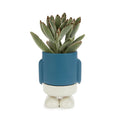 Vaso Mini Mr. Standy