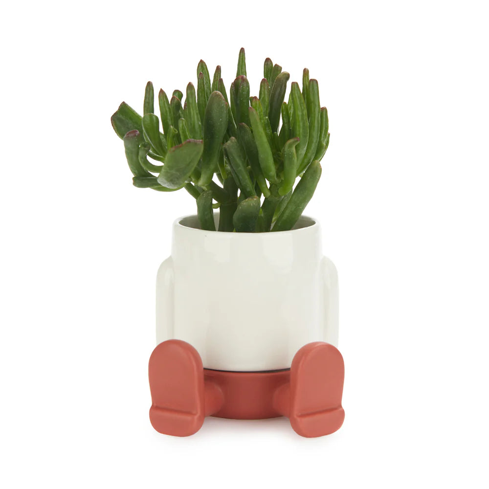 Vaso Mini Mr. Sitty